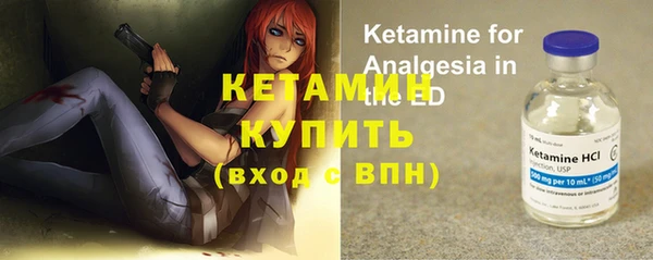 гашик Горняк