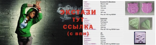 гашик Горняк