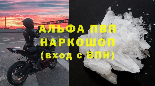 гашик Горняк