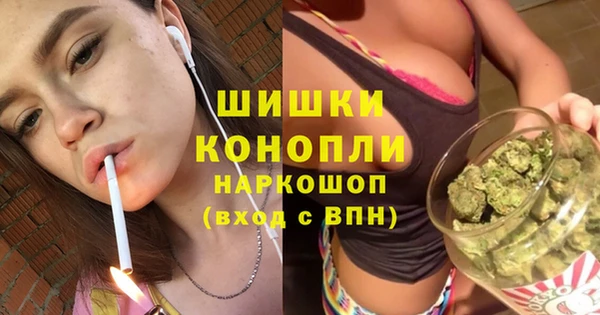 гашик Горняк